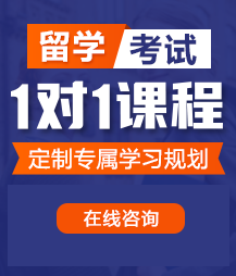 大屌干屄网站留学考试一对一精品课